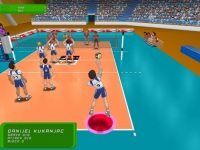 Incredi Volleyball