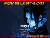 Naruto The Way of The Ninja