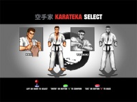 KARATE MASTER - Knock Down Blow