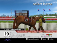 Melbourne Cup Challenge Demo